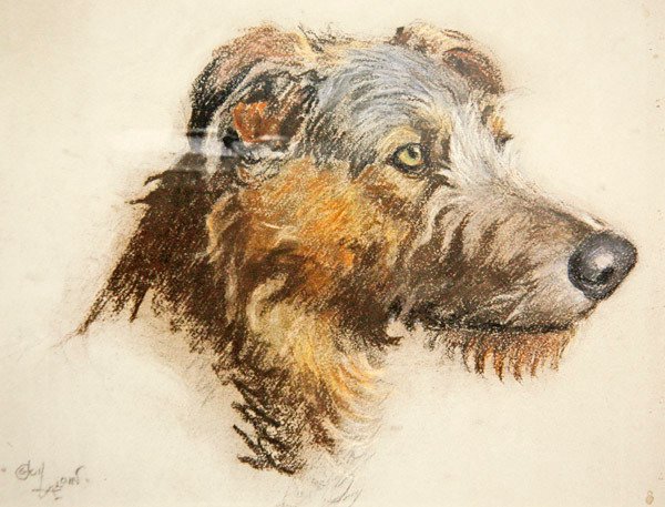 Un Lebrel Escocés de Cecil Charles Windsor Aldin