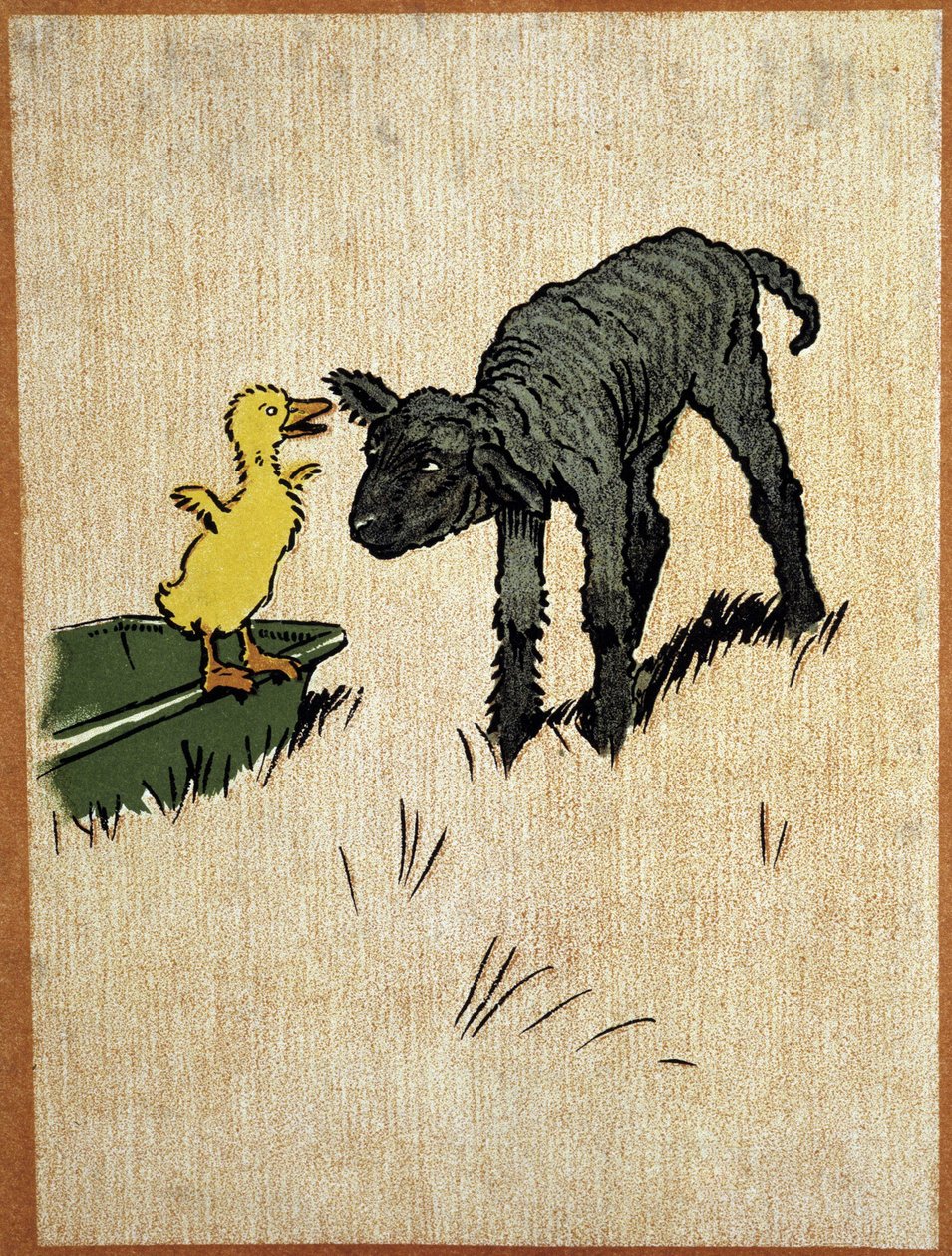 Cordero negro y patito de Cecil Charles Windsor Aldin
