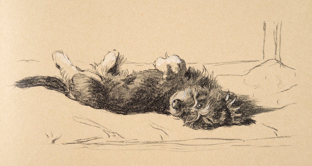 Detalle de cachorro de dachshund áspero, 1930, Ilustraciones de su Sketch Book usado para Just Among Friends, Aldin, Cecil Charles Windsor (1870-1935), publicado posteriormente por Eyre and Spottiswoode Limited, 1934 de Cecil Charles Windsor Aldin