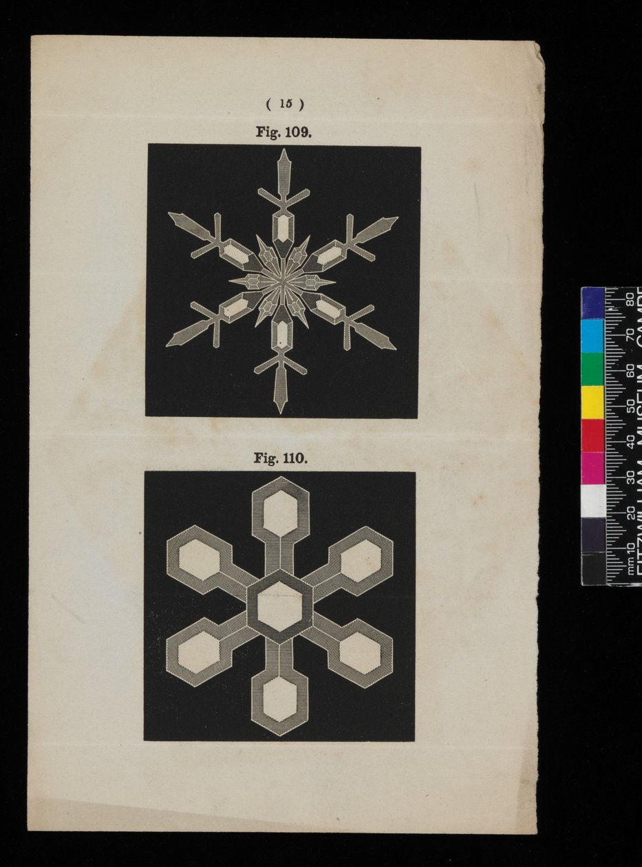 Cristales de nieve de Cecilia Glaisher