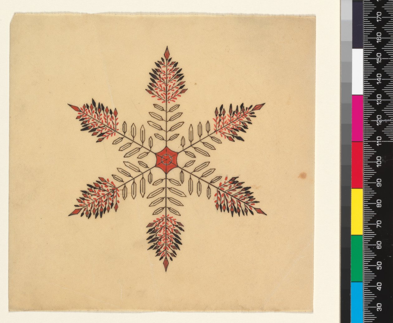 Cristales de nieve de Cecilia Glaisher