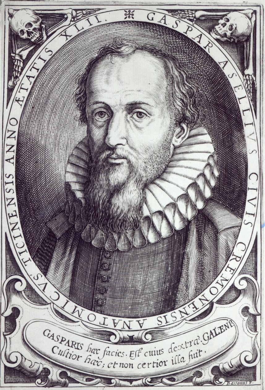Gaspare Aselli de Cesare Bassano