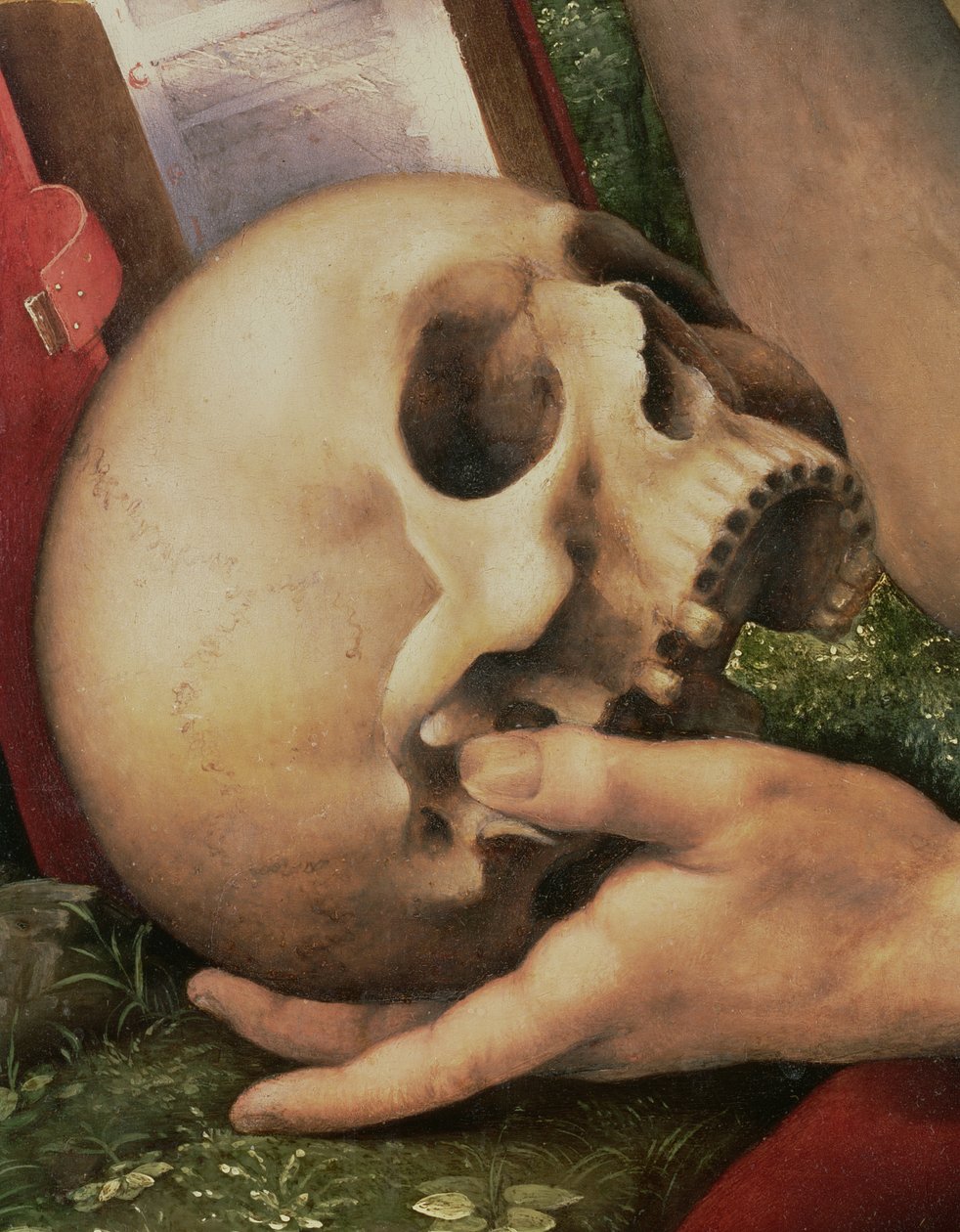 San Jerónimo, detalle del cráneo (detalle) de Cesare da Sesto