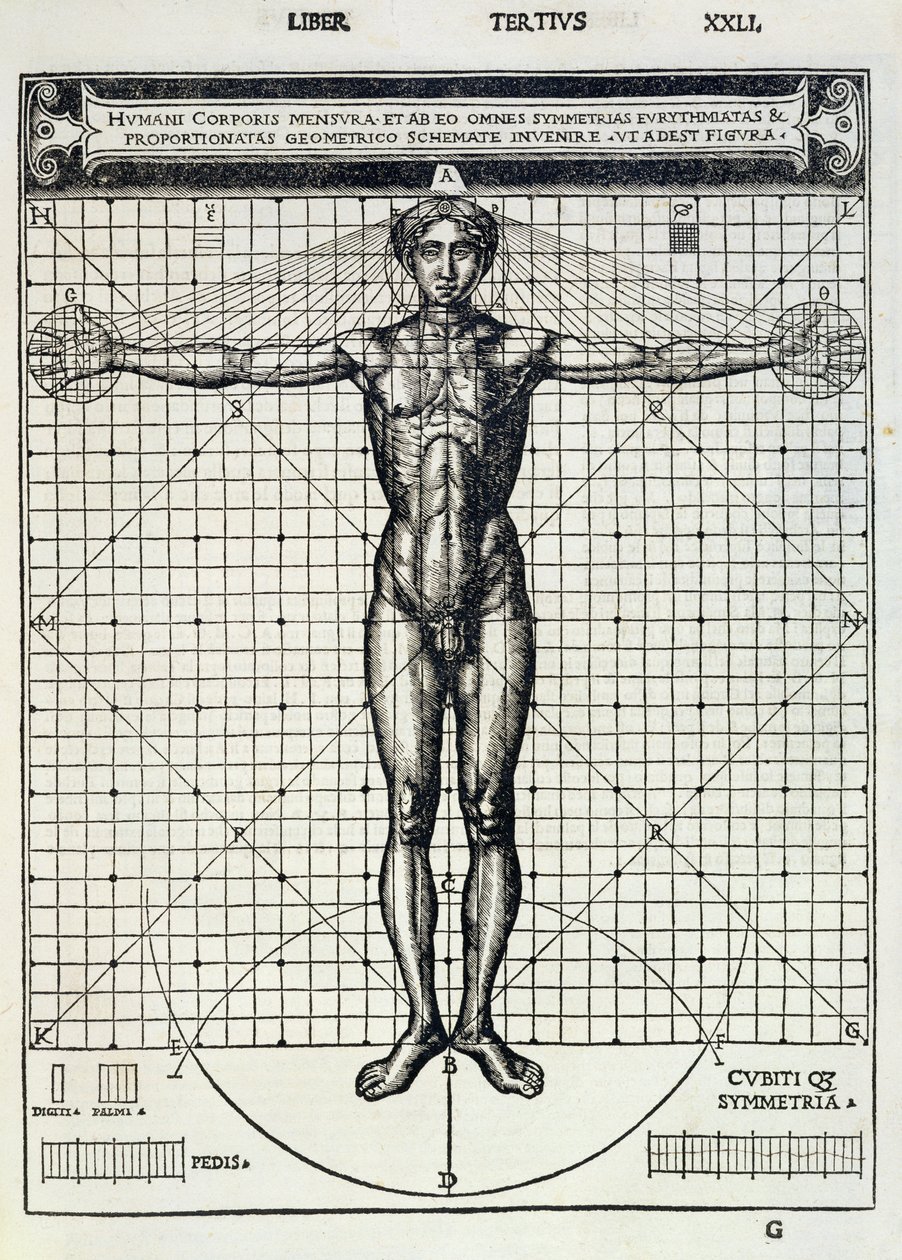 Proporciones ideales basadas en el cuerpo humano, de 