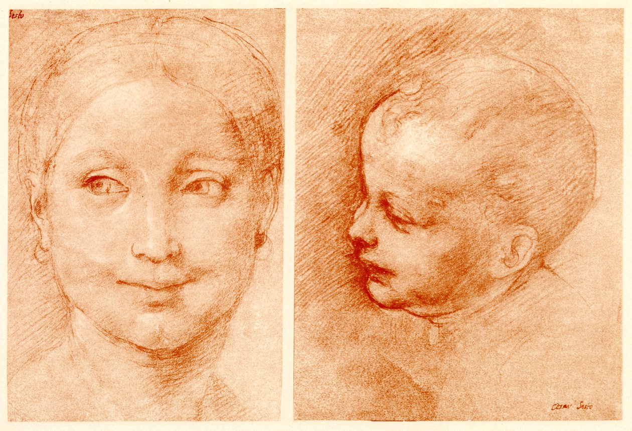 Estudios de cabezas de Cesare da Sesto