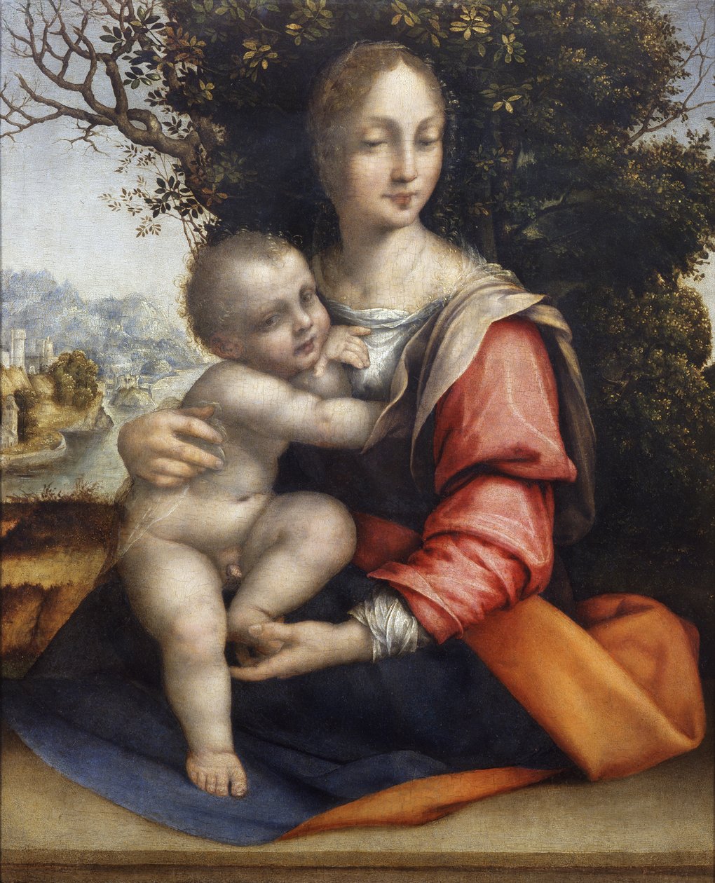 Madonna y Niño (Nuestra Señora del Árbol) de Cesare da Sesto
