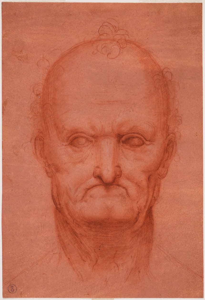 Cabeza de anciano, c. 1515 de Cesare da attr.to Sesto