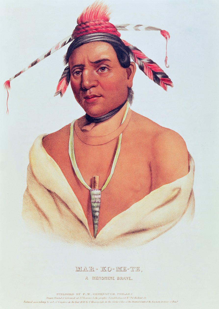 Retrato de Mar-Ko-Me-Te, un valiente Menomene, 1838 de Charles Bird King