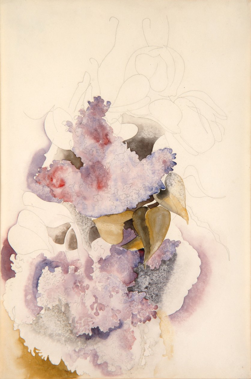 Lilas de Charles Demuth