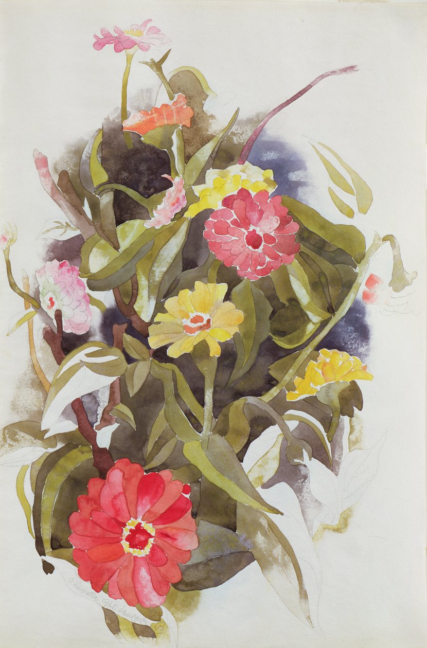 Zinnias, 1920 de Charles Demuth