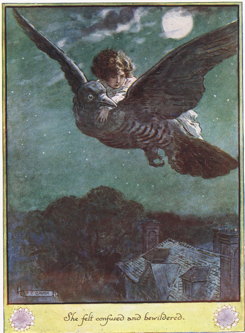 Vuelo en el Pájaro, ilustración de 