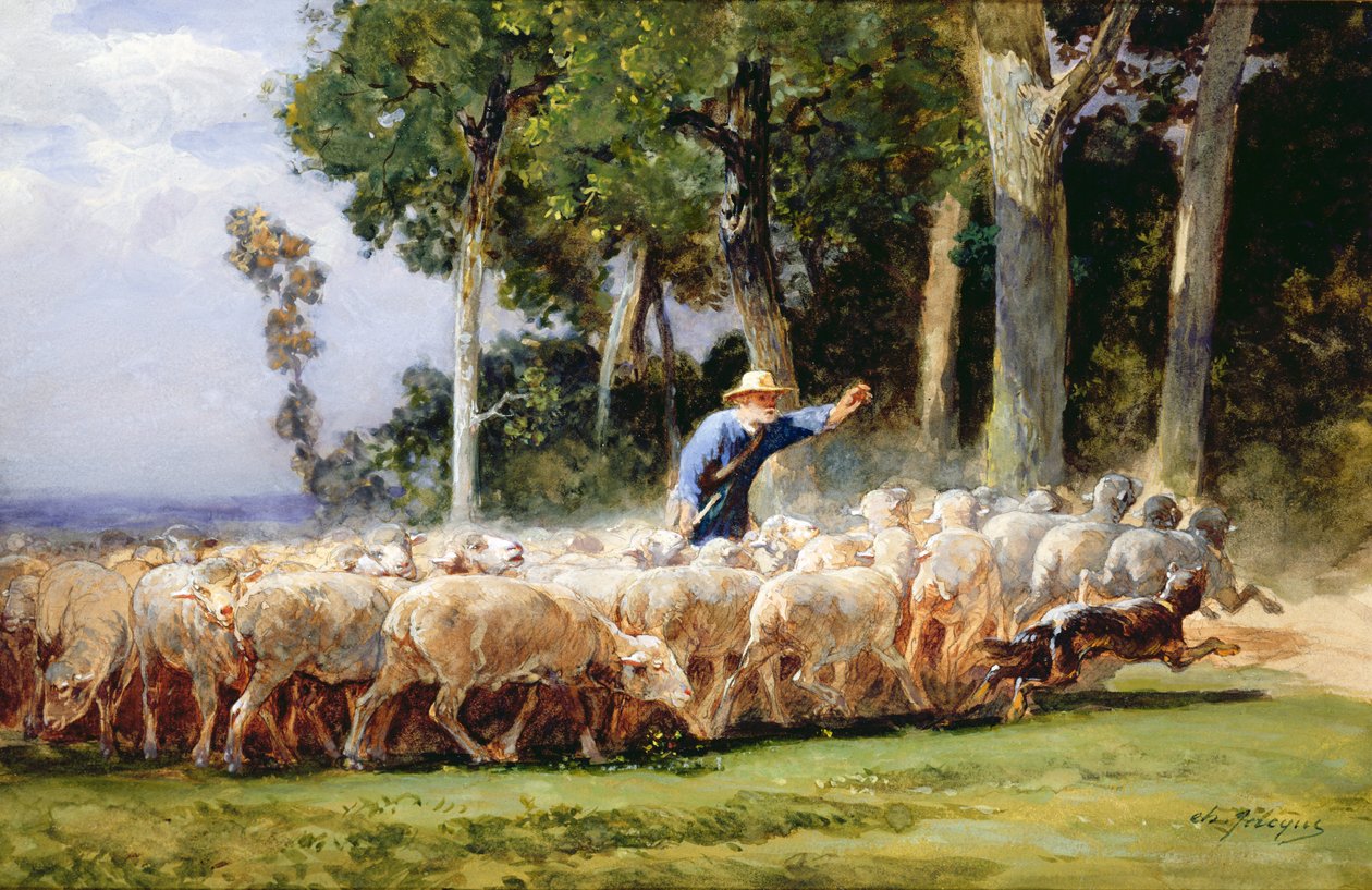 Un pastor con un rebaño de ovejas de Charles Emile Jacques