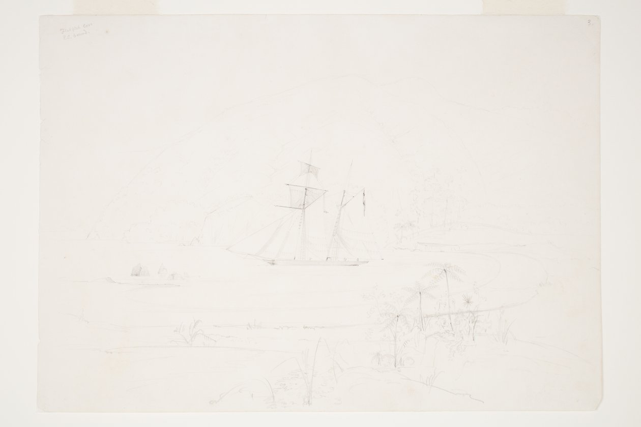 Flatfish Cove Q.C. Sound de Charles Heaphy