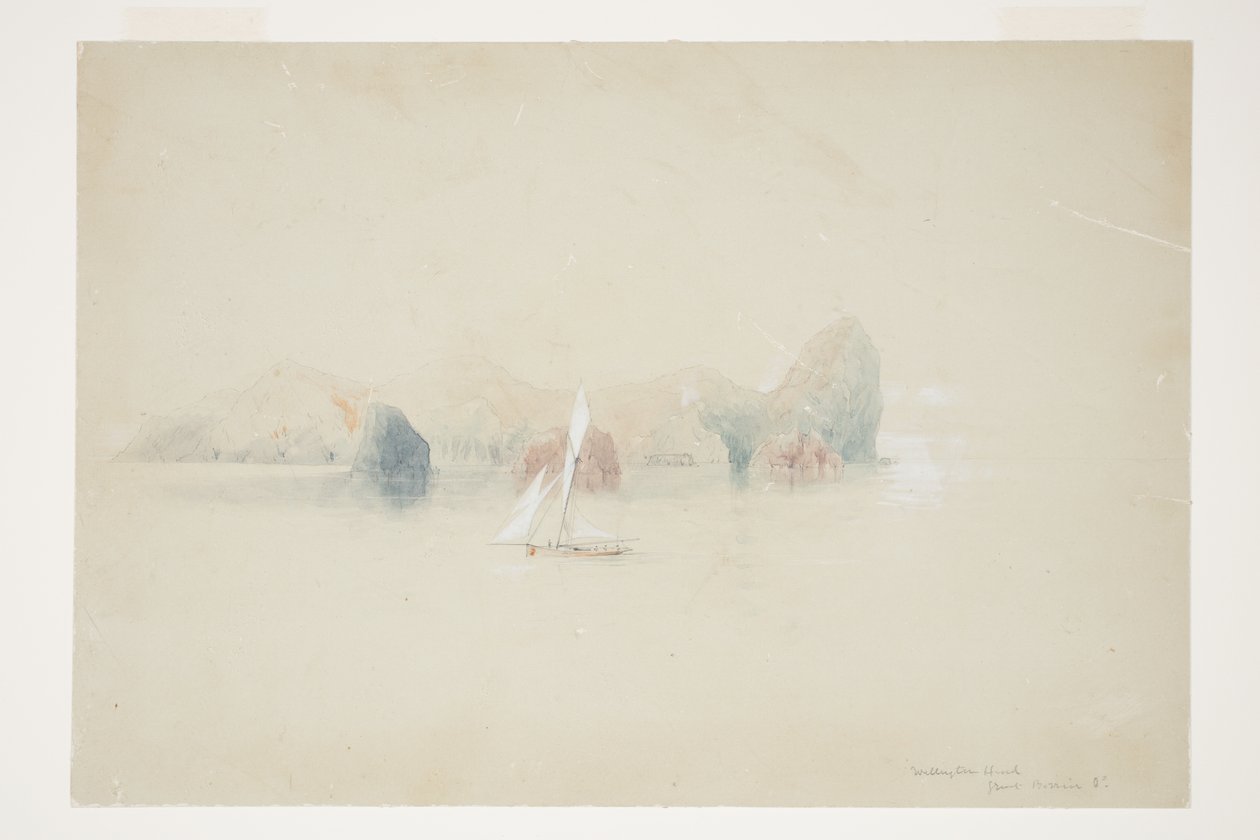 Cabeza de Wellington, Gran Barrera Id de Charles Heaphy