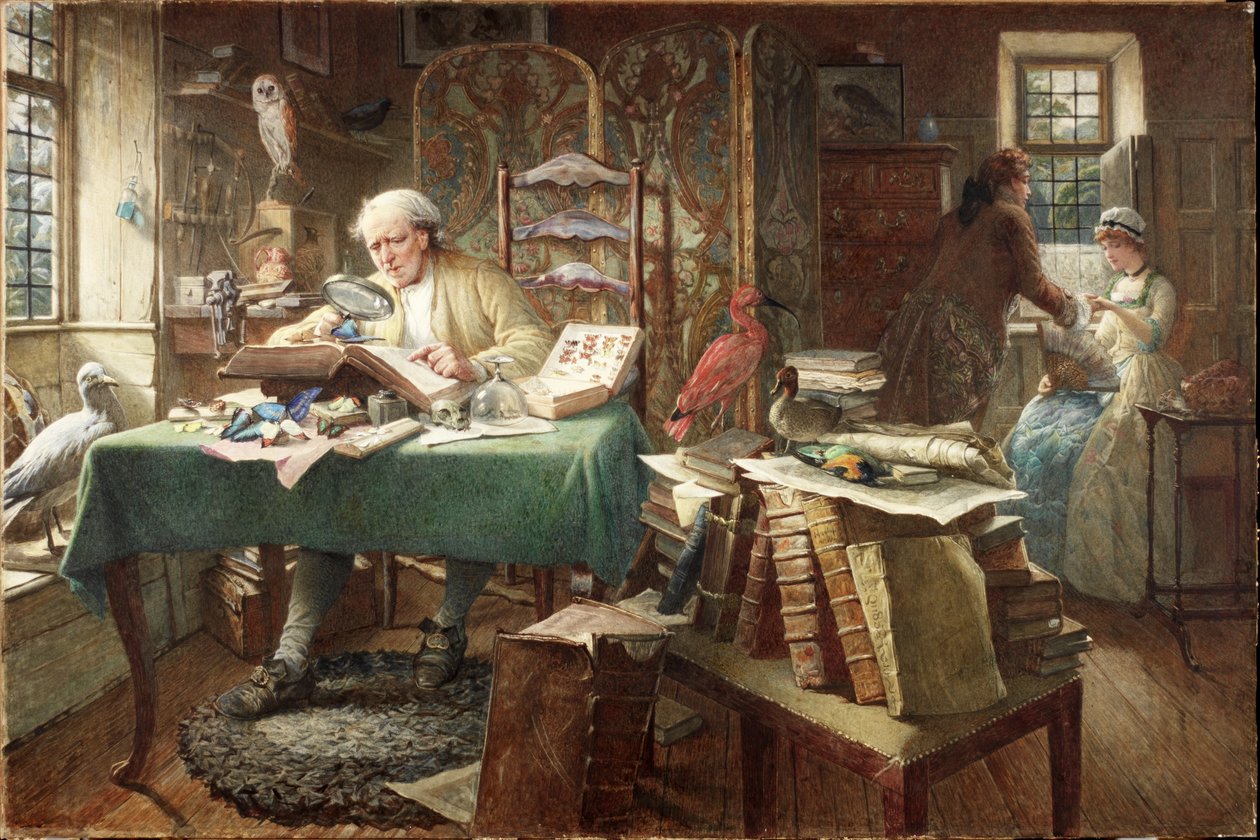 Gusanos y Mariposas de Charles J. Staniland