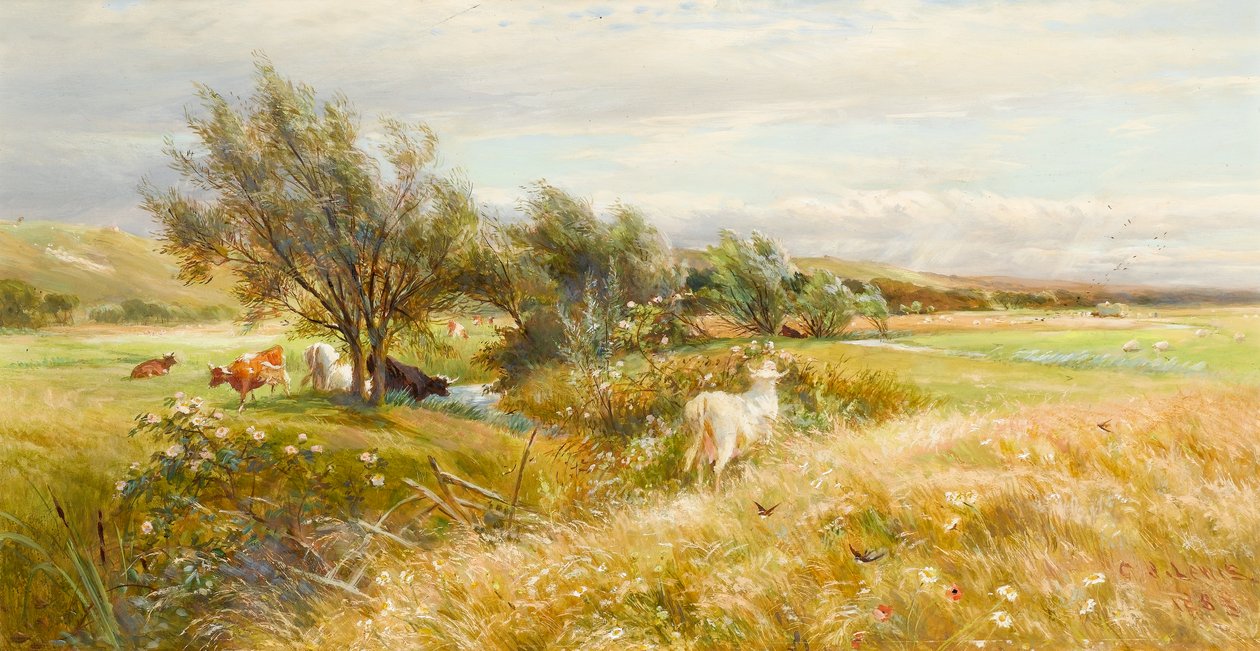 Ganado en un prado acuático de Charles James Lewis