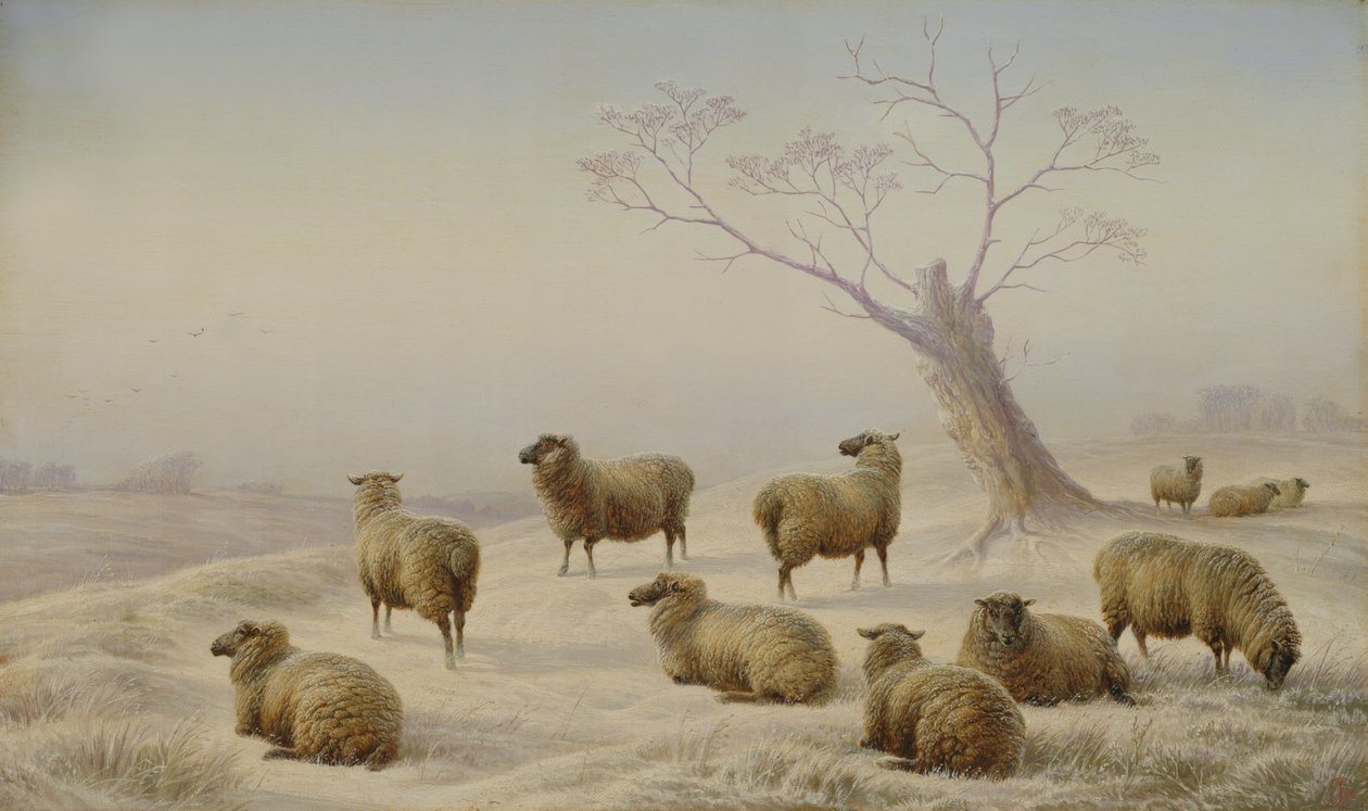 Ovejas en la nieve, 1880 de Charles Jones