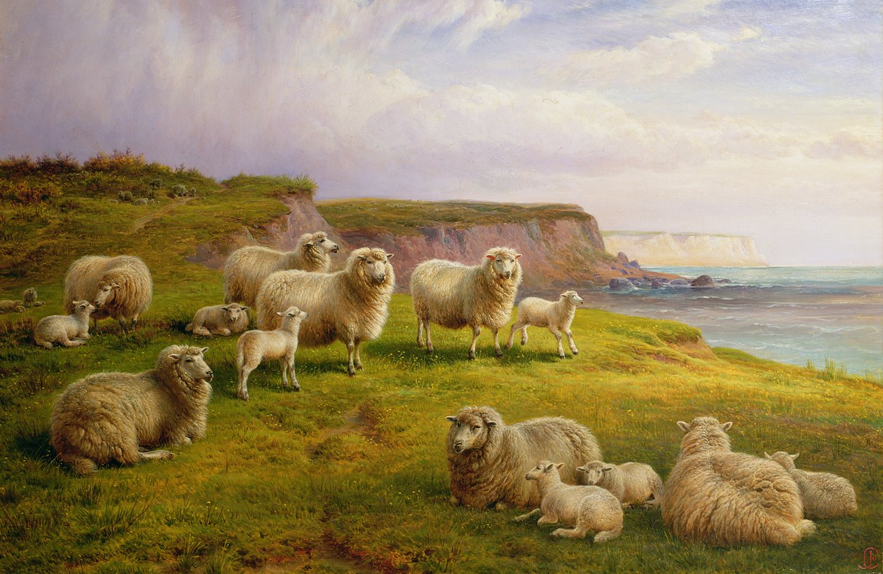 Ovejas en una costa de Dorset de Charles Jones