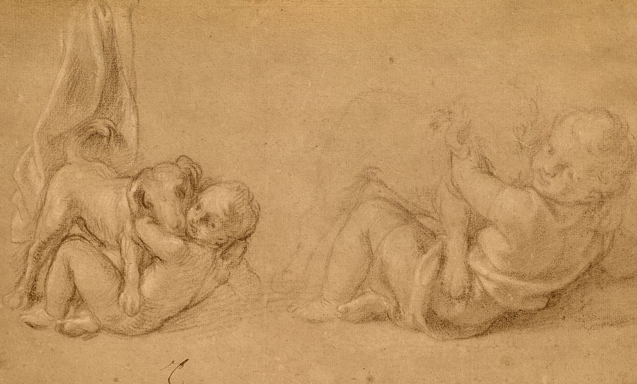 Estudio de un niño con un perro de Charles Le Brun