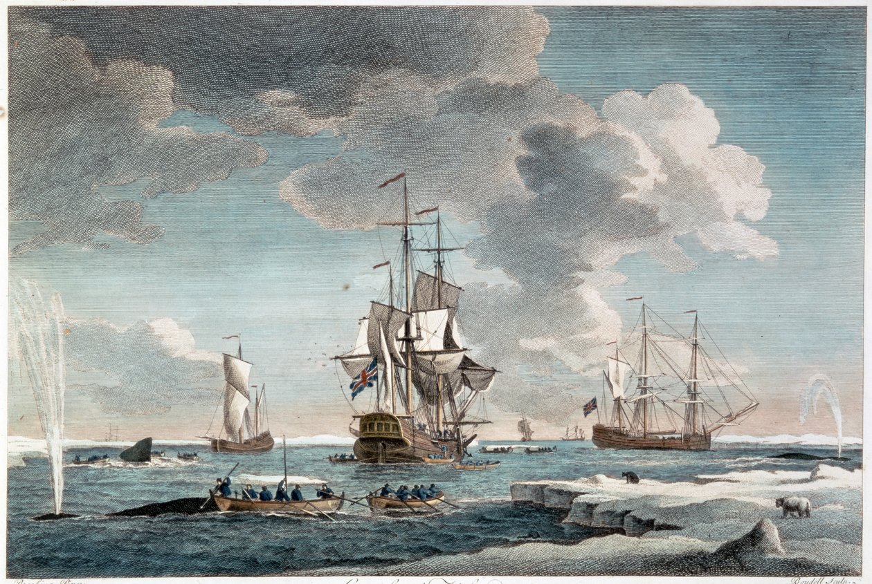 Pesquería de Groenlandia, grabado por John Boydell (1719-1804) 1754 (grabado en color) de Charles (after) Brooking
