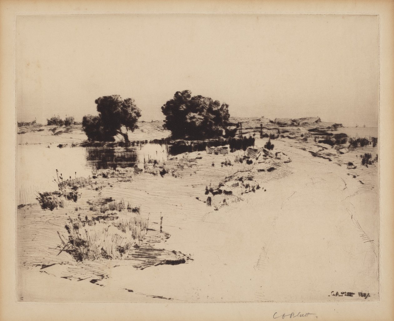Sauces de Cape Ann de Charles A. Platt
