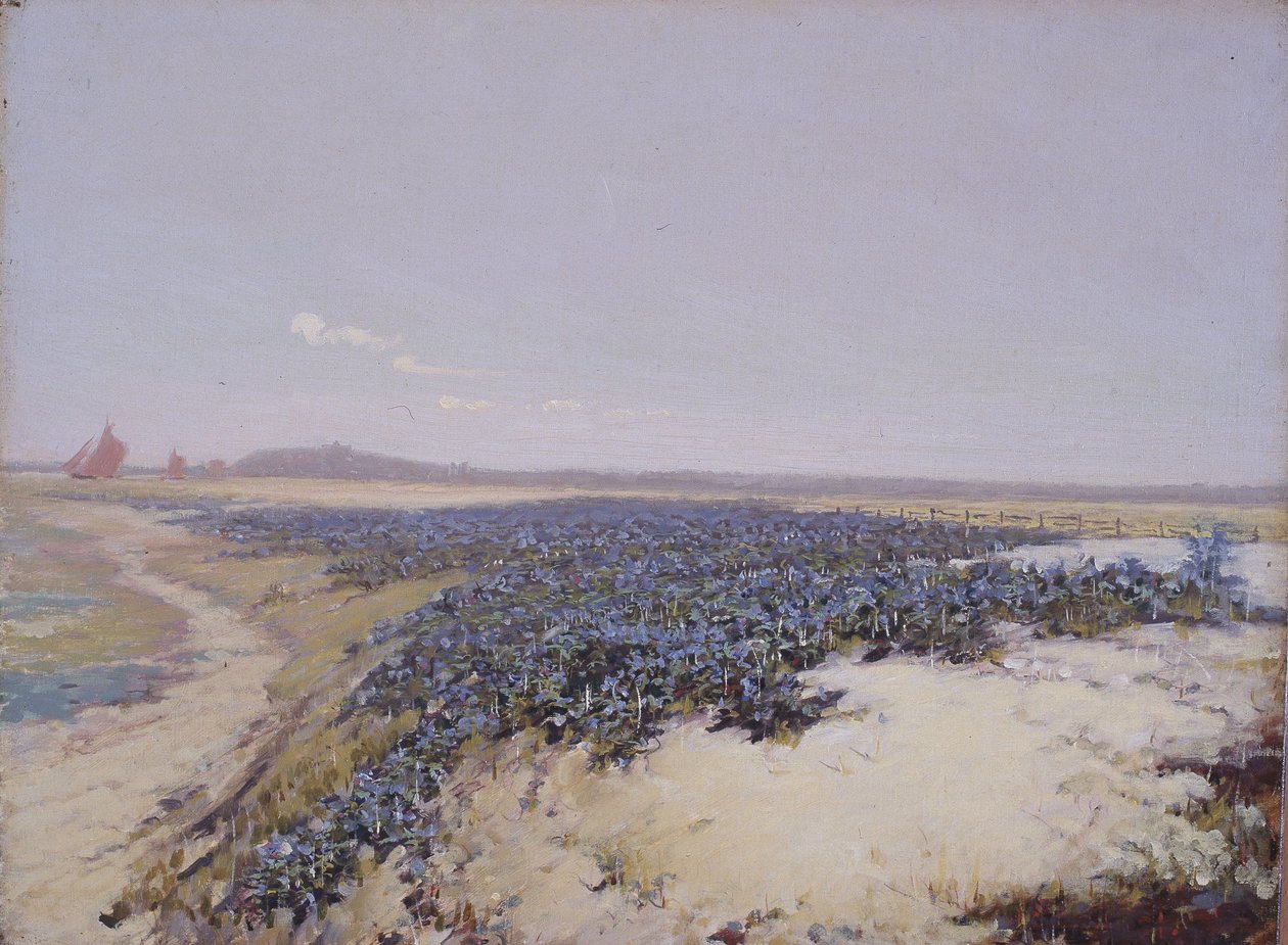 Dunas cubiertas de flores (óleo sobre lienzo) de Charles Augustus Lasar