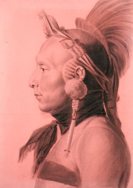 Retrato de un indio, posiblemente Shahaka, jefe Mandan de Charles Balthazar Julien Févret de Saint Mémin
