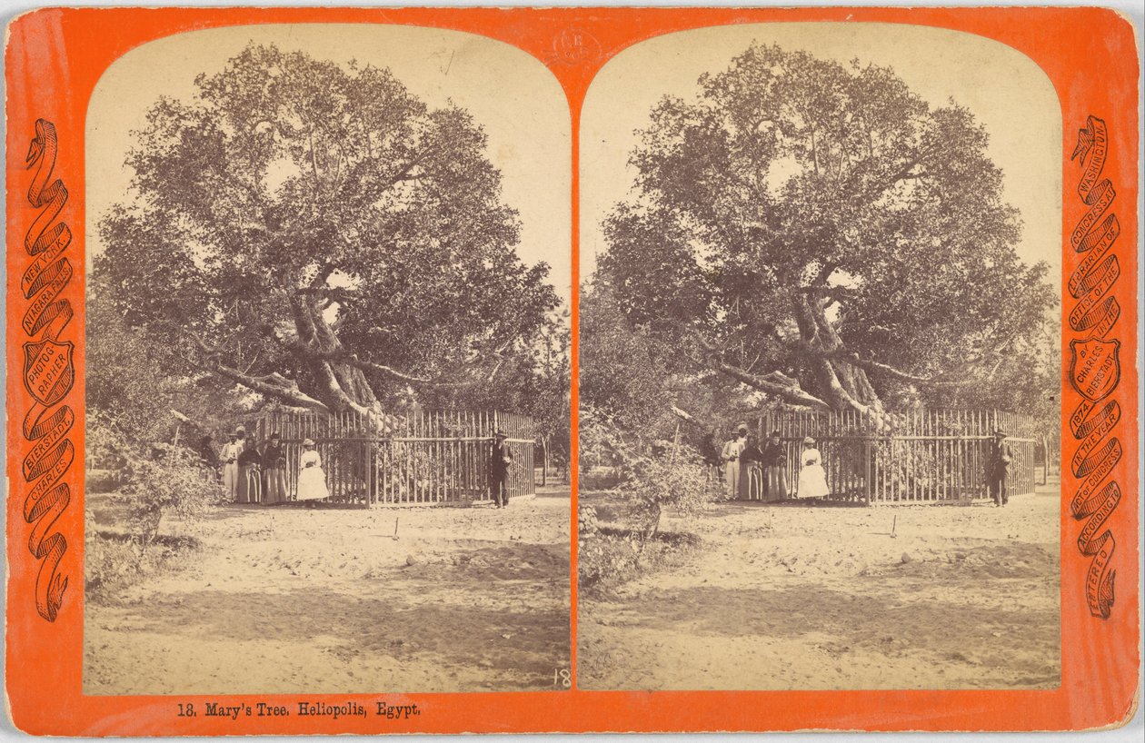 El Árbol de María. Heliópolis, Egipto de Charles Bierstadt
