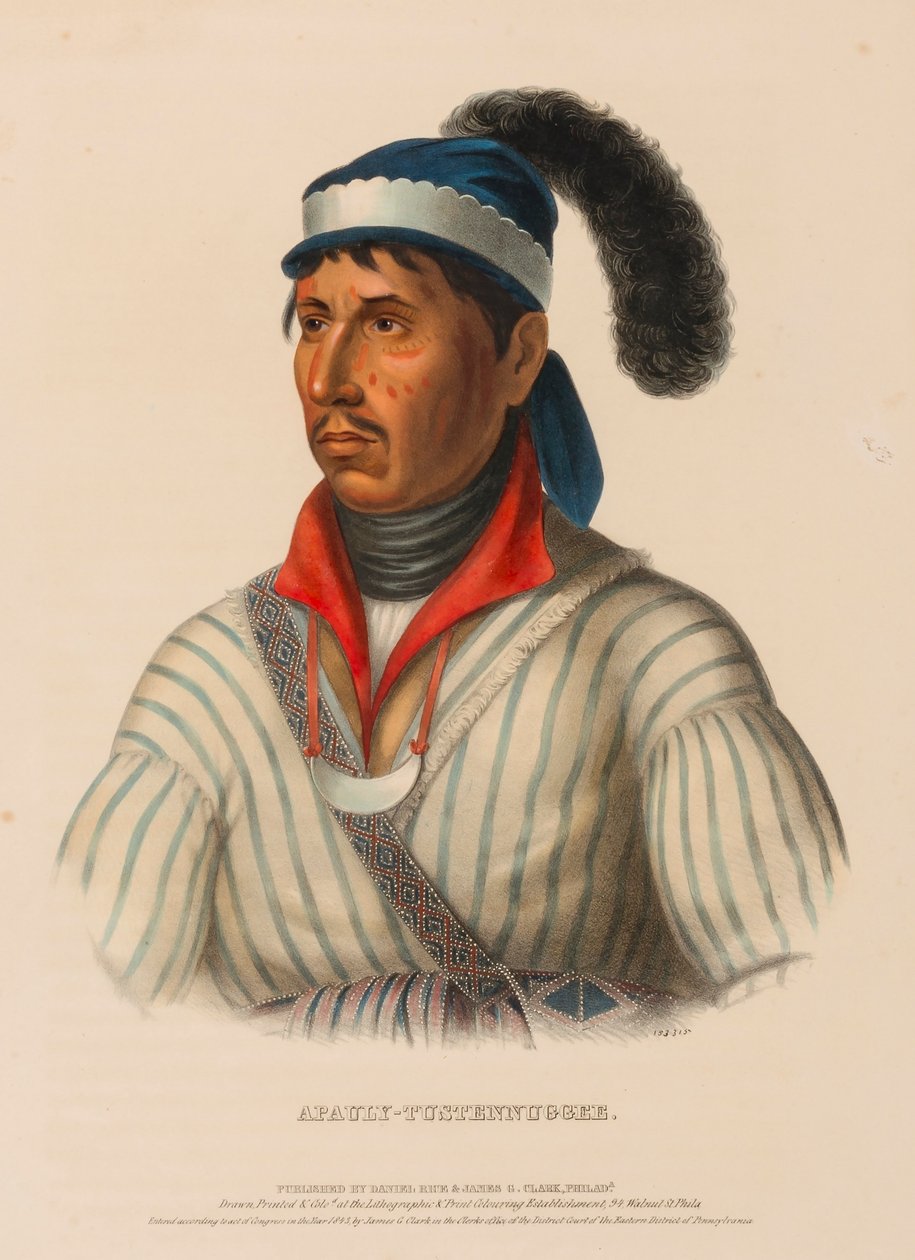 APAULY-TUSTENNUGGEE., de Historia de las Tribus Indias de Norteamérica de Charles Bird King