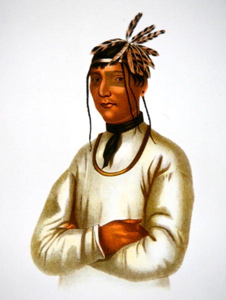 Caatousee de la Tribu Chippewa de Charles Bird King