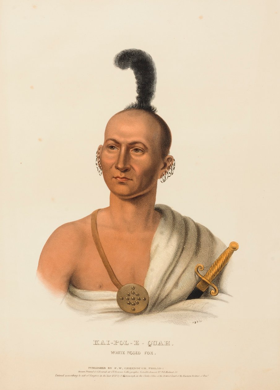 KAI-POL-E-QUAH, ZORRO DE NARIZ BLANCA, de la Historia de las Tribus Indias de Norteamérica. de Charles Bird King