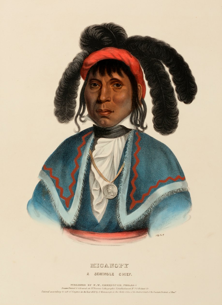 MICANOPY A SEMINOLE CHIEF., de History of the Indian Tribes of North America de Charles Bird King