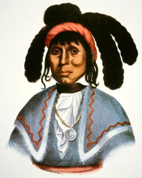 Micanopy (m.1849) c.1826 de Charles Bird King