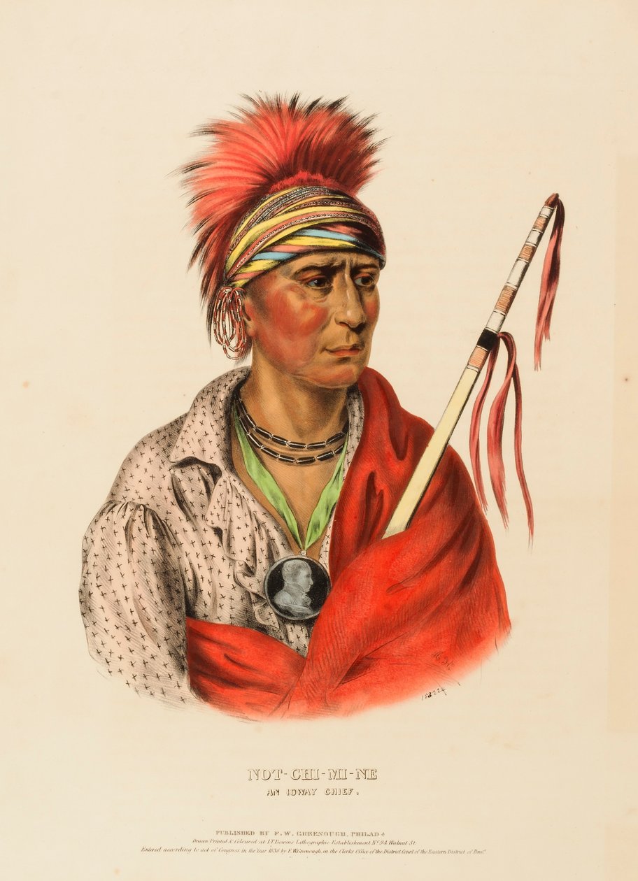 NOT-CHI-MI-NE. AN IOWAY CHIEF., de History of the Indian Tribes of North America de Charles Bird King