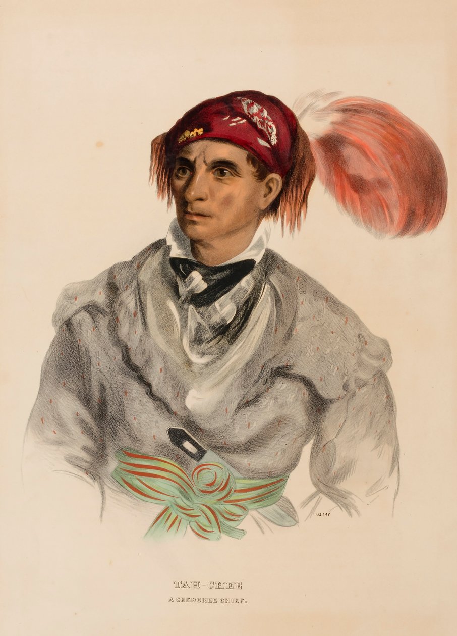 Tah-Chee (holandés), un jefe cherokee, de Historia de las tribus indias de Norteamérica de Charles Bird King