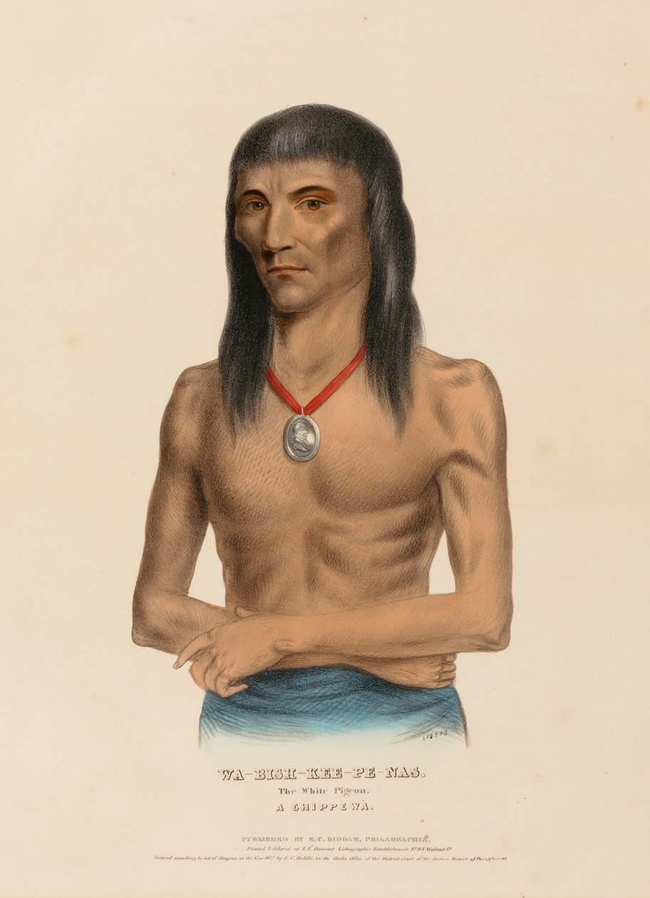 WA-BISH-KEE-PE-NAS. La paloma blanca. A CHIPPEWA, de Historia de las Tribus Indias de Norteamérica de Charles Bird King
