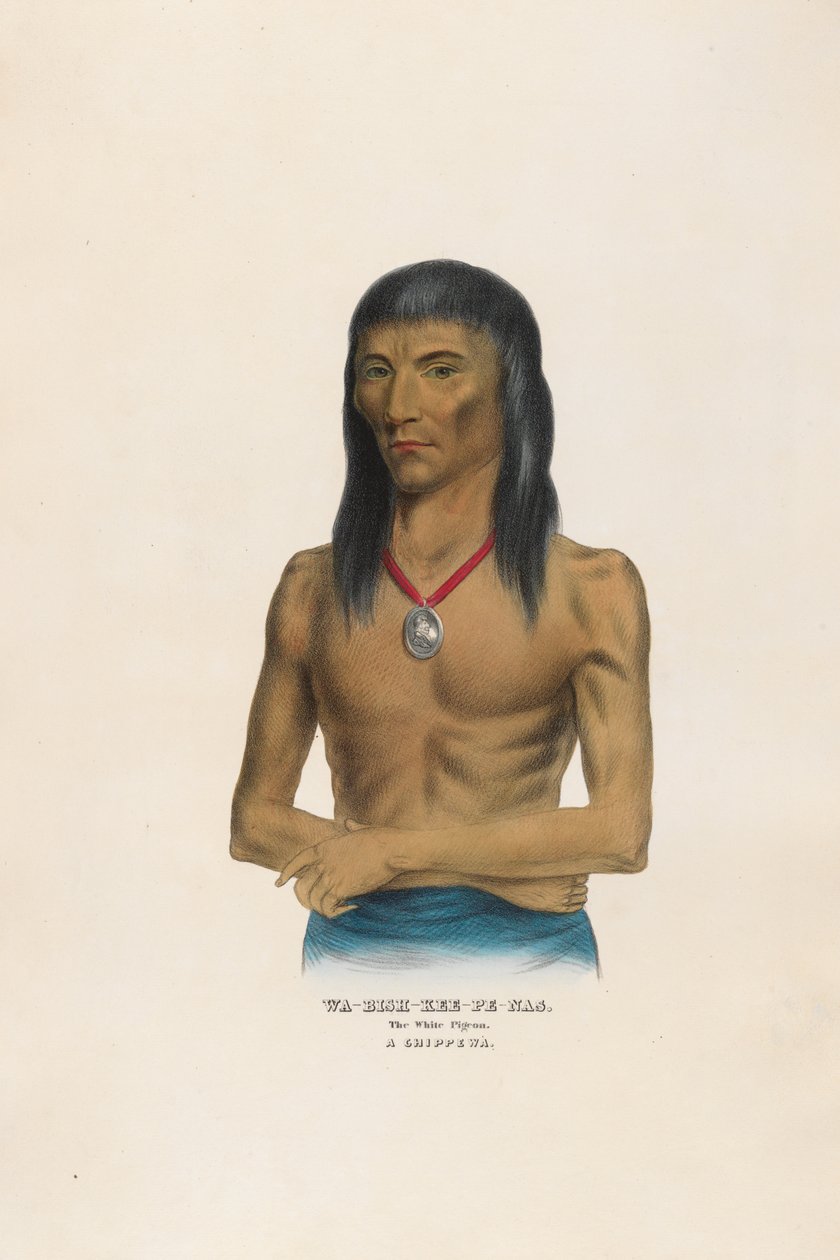 Wa-bish-kee-pe-nas - La paloma blanca de Charles Bird King