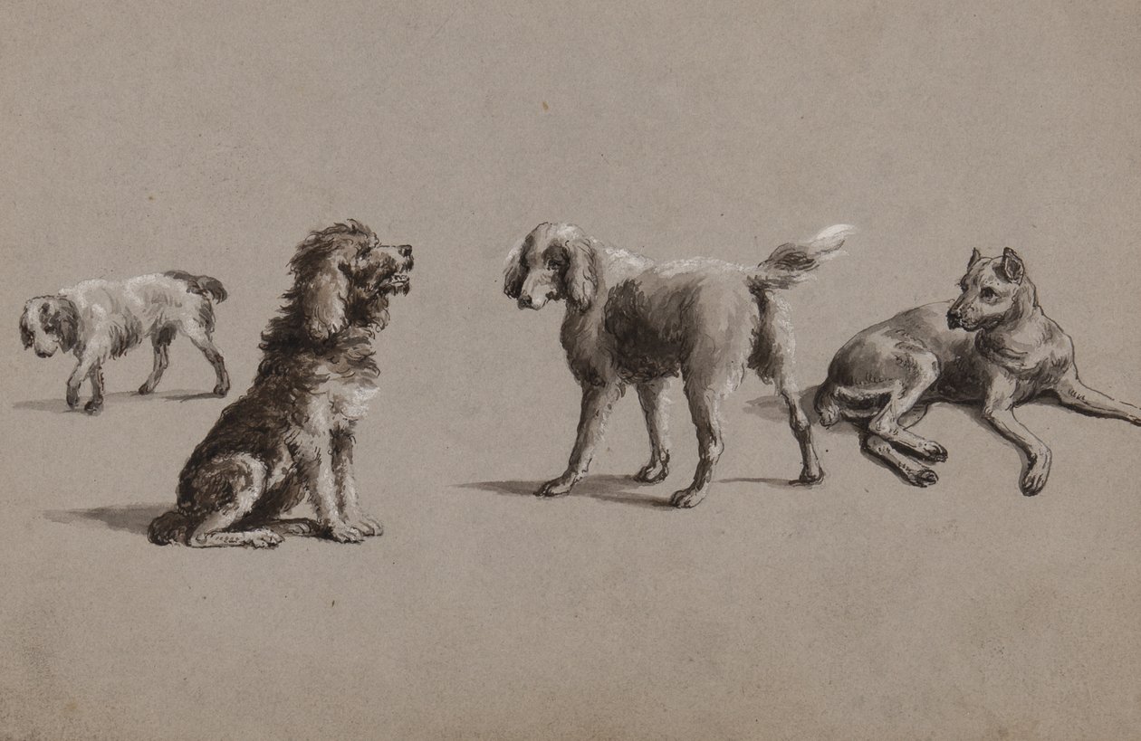 Estudios de perros de Charles Cooper Henderson