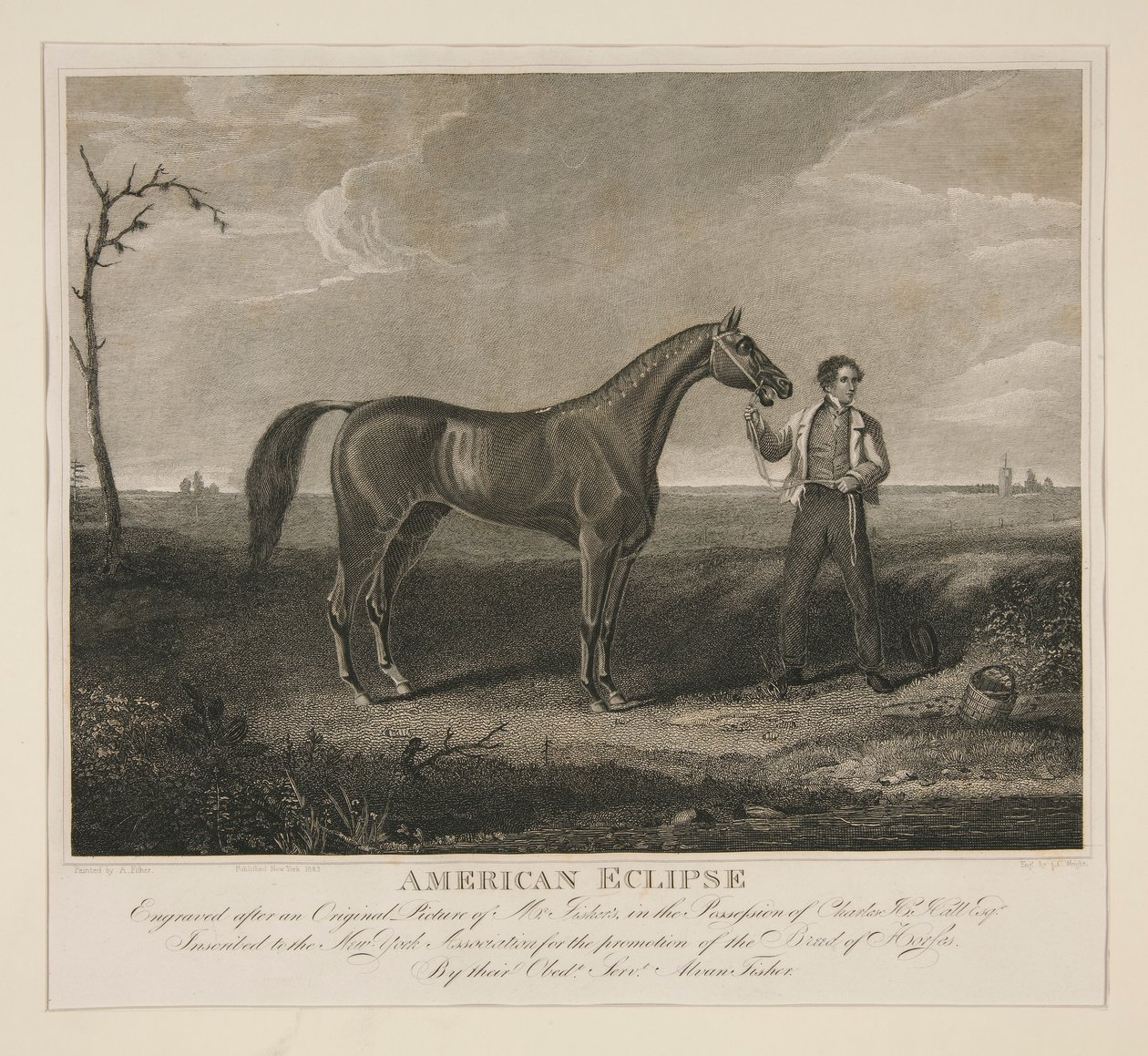 Eclipse americana de Charles Cushing Wright