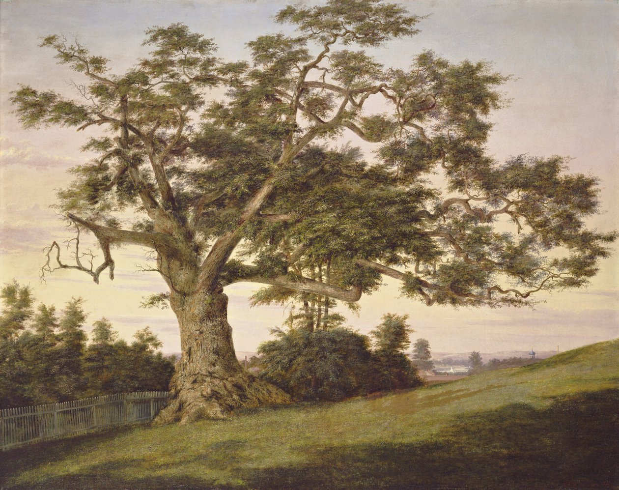 El Roble Charter de Charles de Wolf Brownell