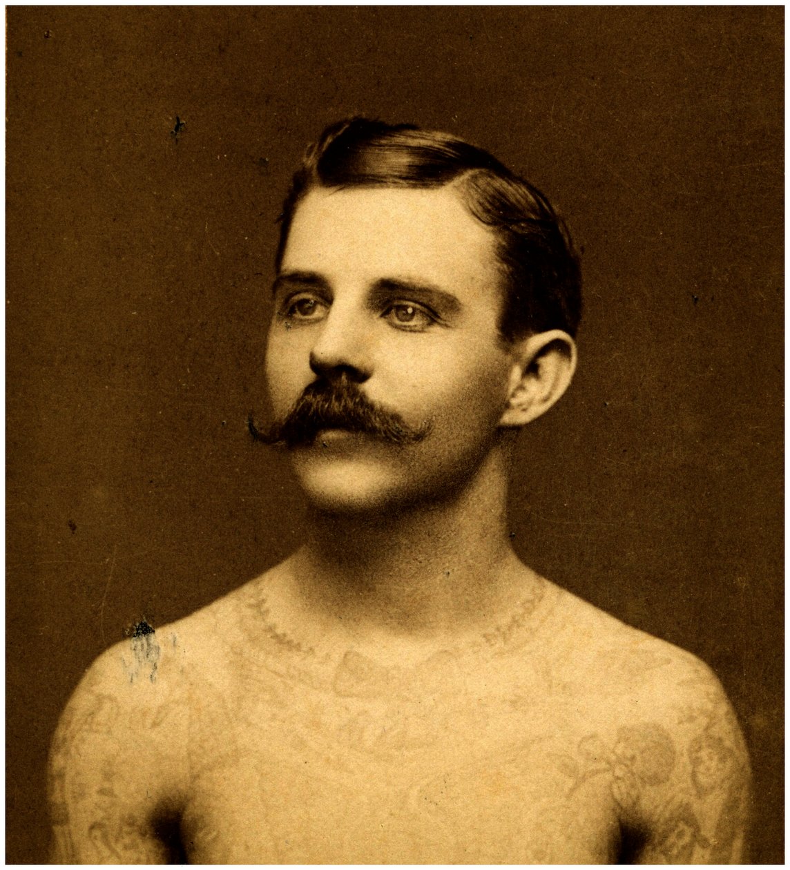 Frank Howard el hombre tatuado, c.1900 de Charles Eisenmann