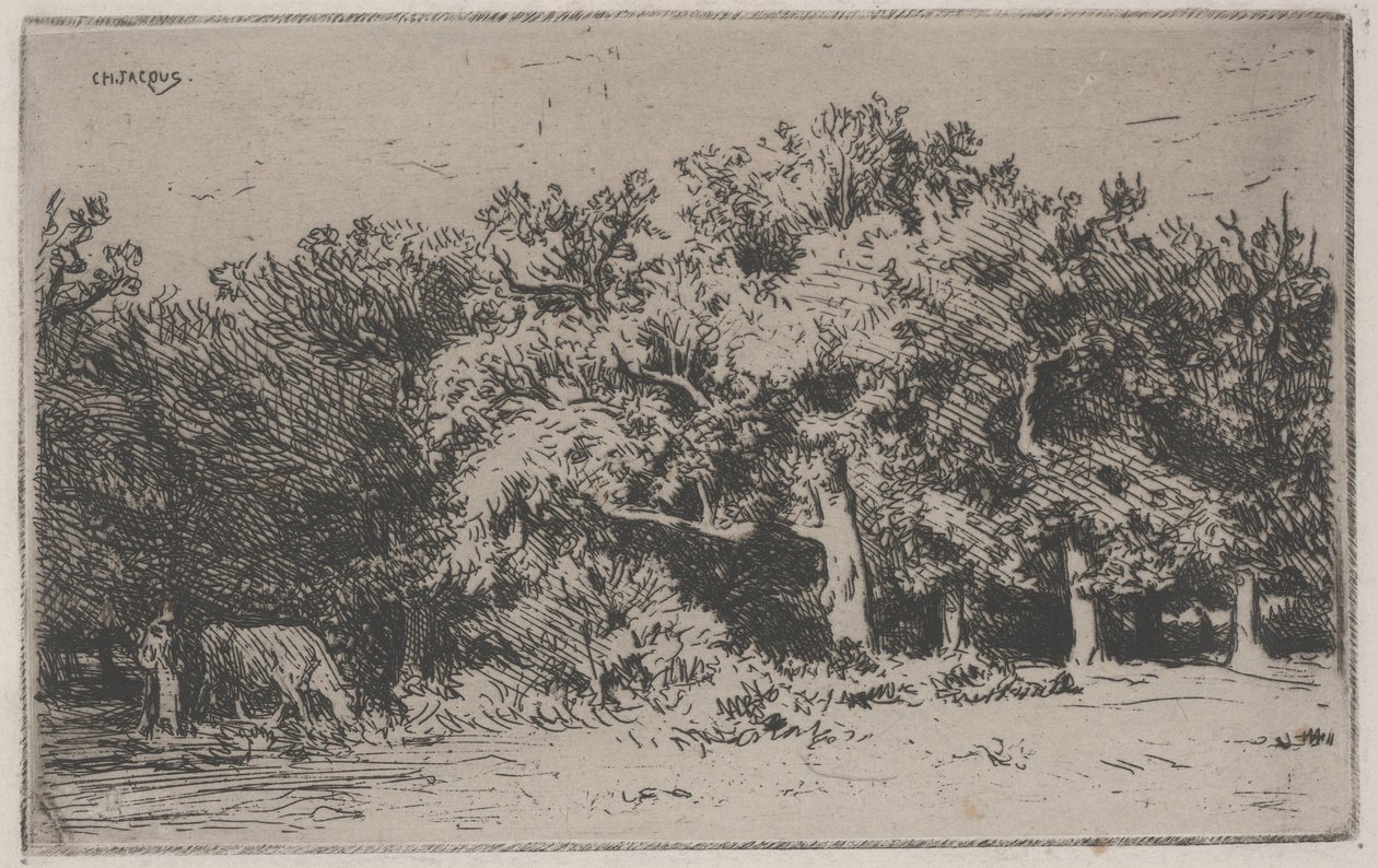 Un rincón del bosque de Fontainebleau de Charles Emile Jacque