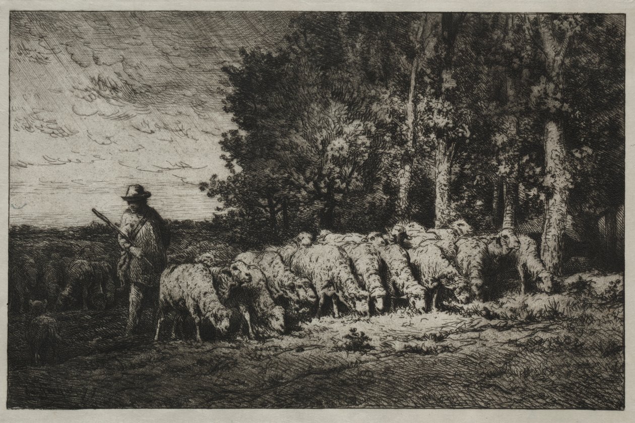 Un rebaño al borde de un bosque de Charles Emile Jacque