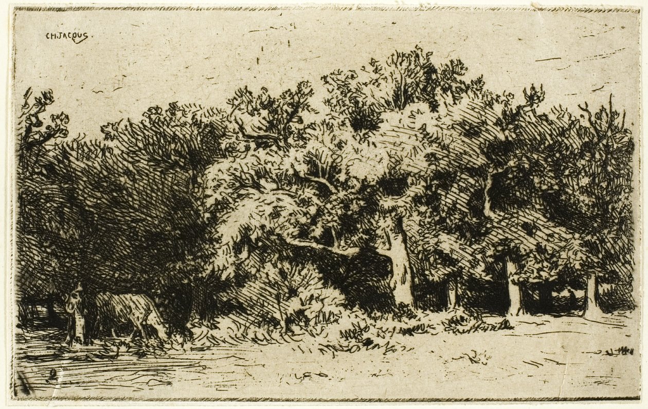 Una parte del bosque de Fontainebleau de Charles Emile Jacque