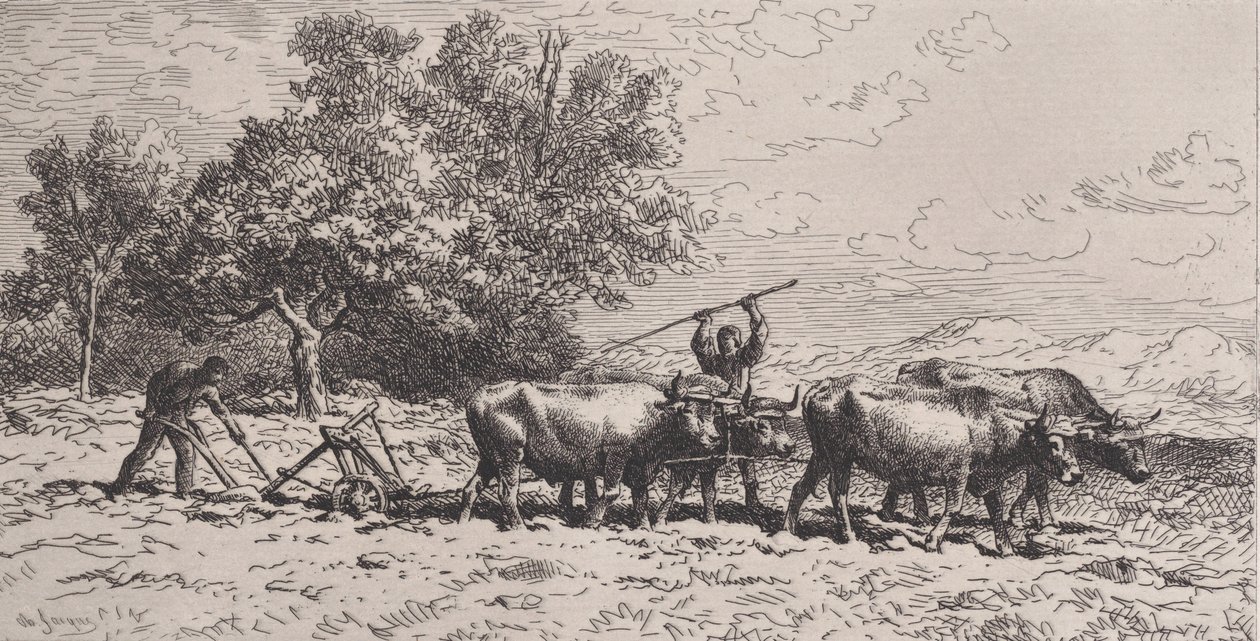 Attelage de Boeufs, 1868 de Charles Emile Jacque