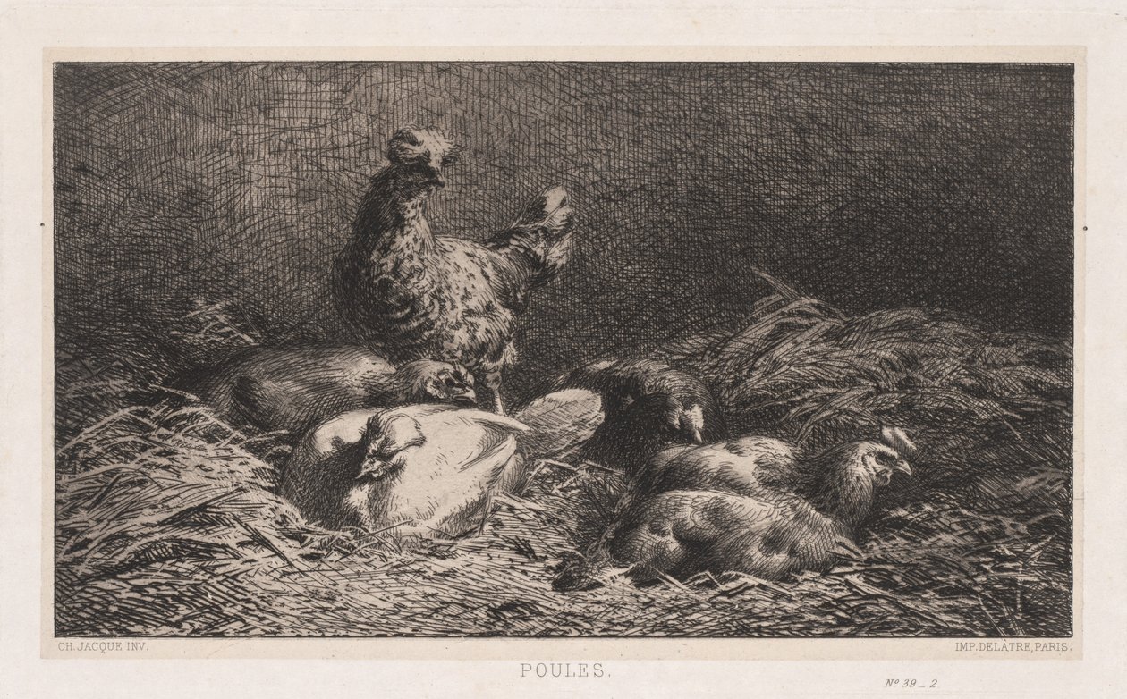 Pollos Poutes, 1867 de Charles Emile Jacque