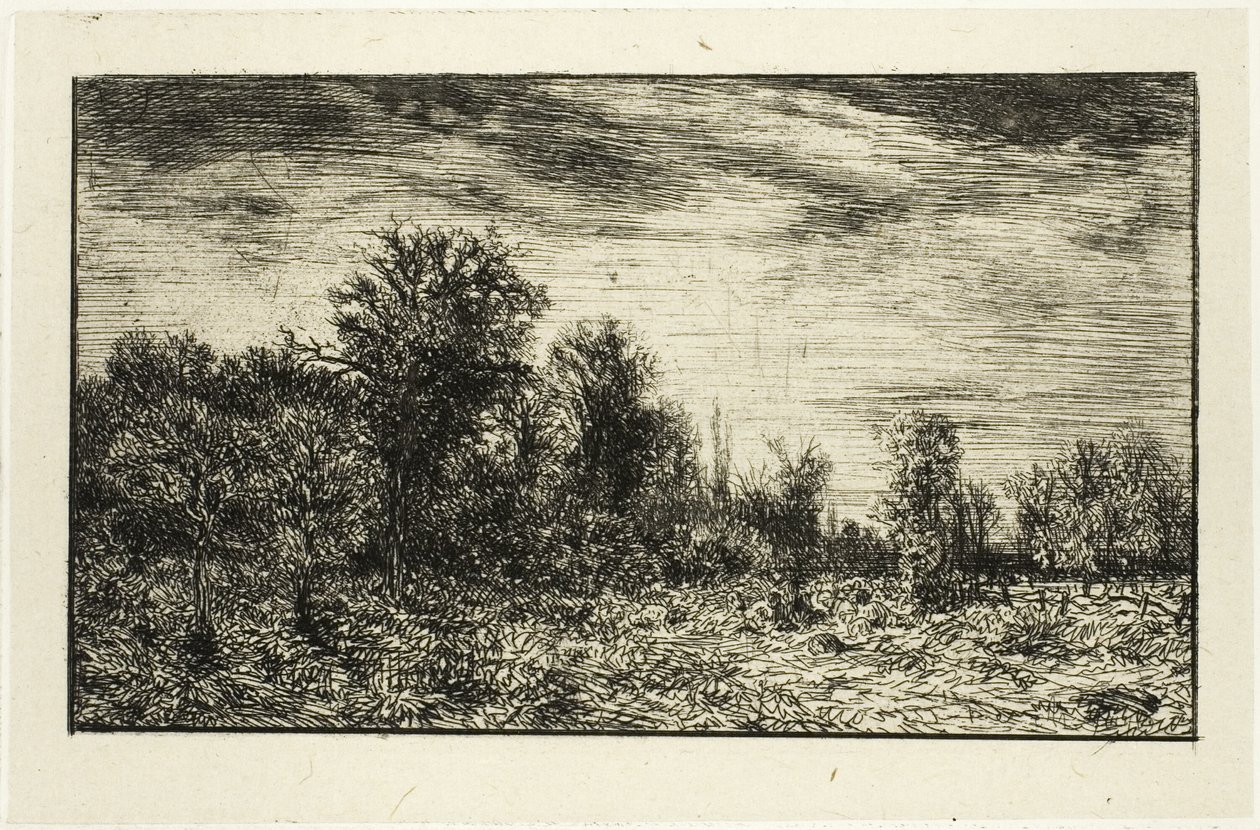 Borde de un bosque, bajo cielo nublado de Charles Emile Jacque