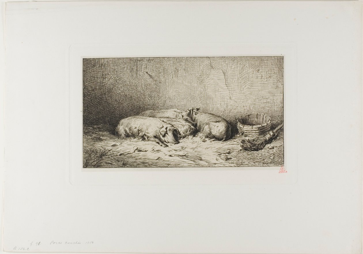 Cuatro Cerdos Durmiendo de Charles Emile Jacque
