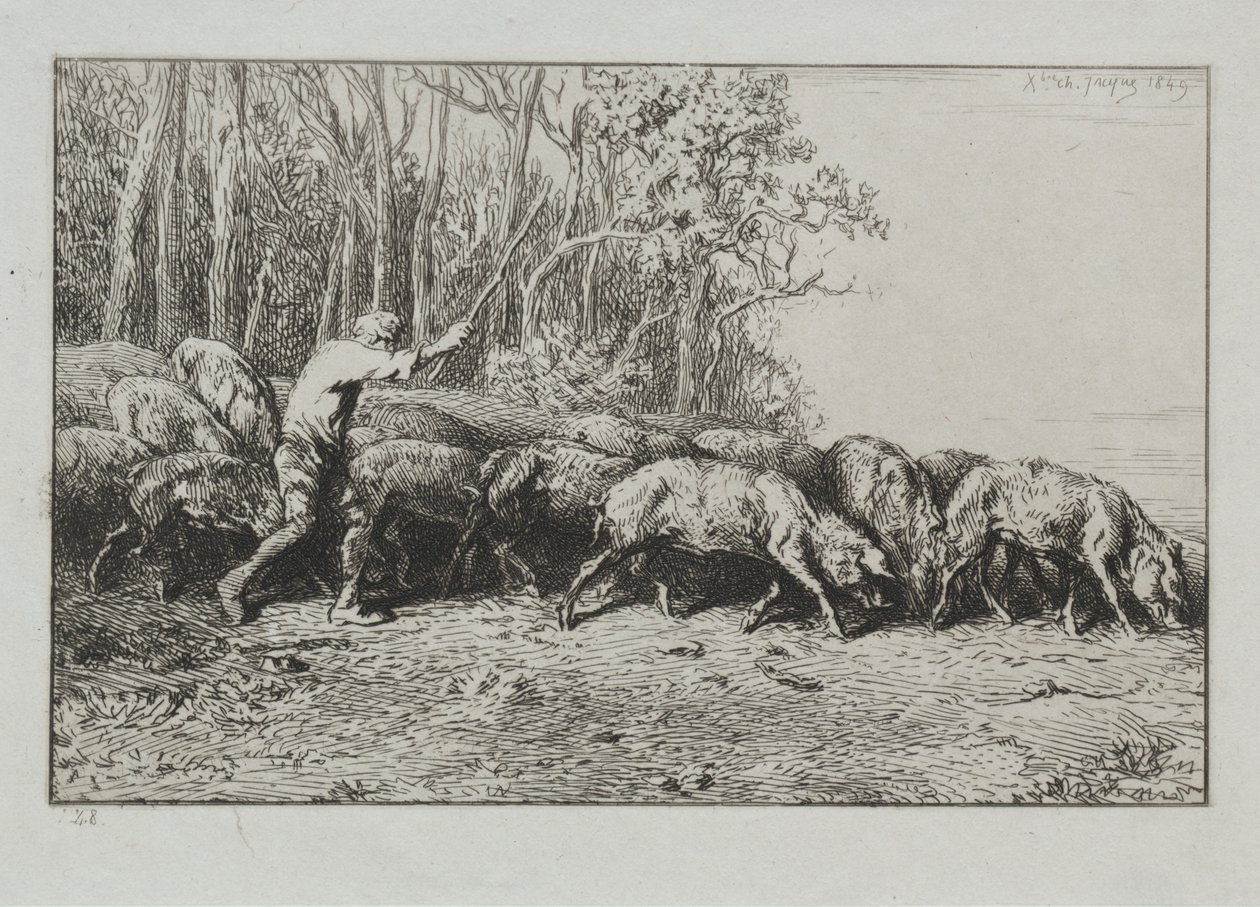 Manada de cerdos saliendo de un bosque de Charles Emile Jacque