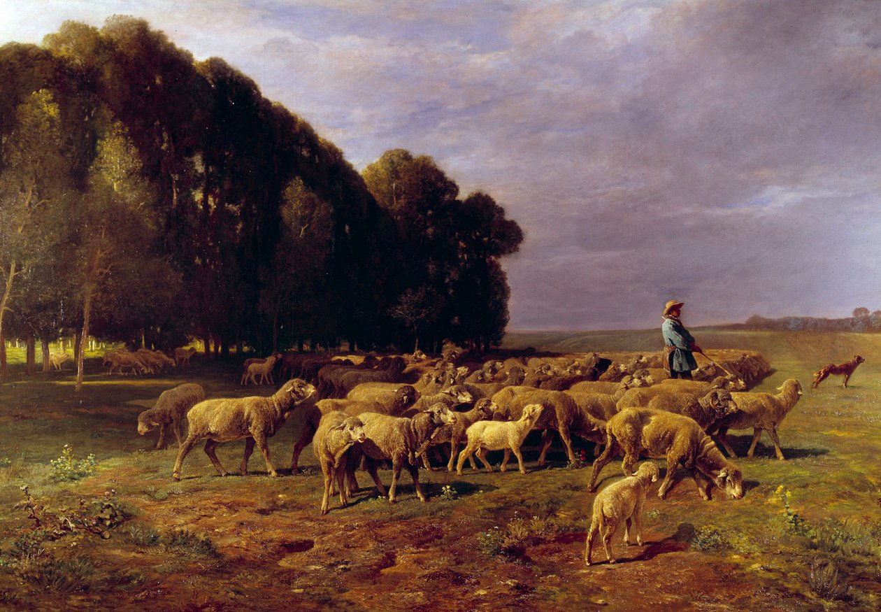 Rebaño de ovejas en un paisaje o “Pastor conduciendo un rebaño de ovejas en la llanura” de Charles Emile Jacque